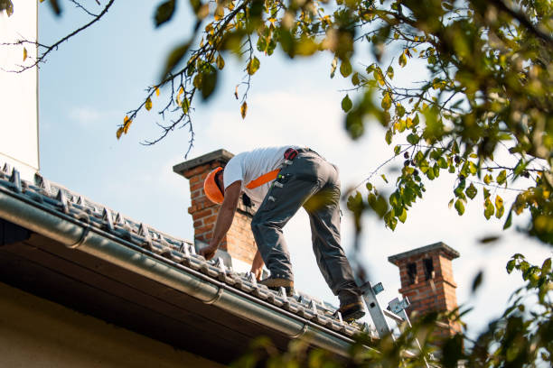 Best Shingle Roofing Installation  in Circleville, OH