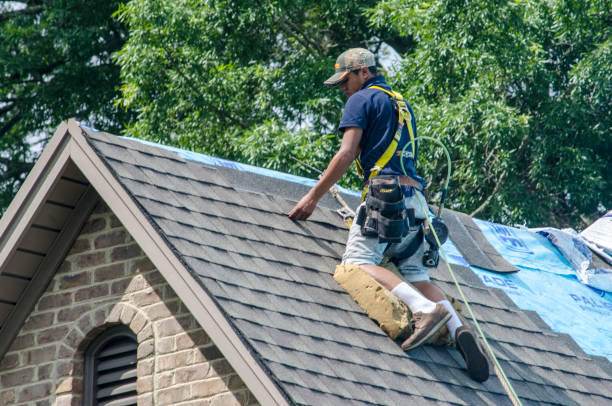 Best Roof Replacement Cost  in Circleville, OH